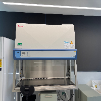 Thermo Safe 2020 6' BioSafety Cabinet image 0